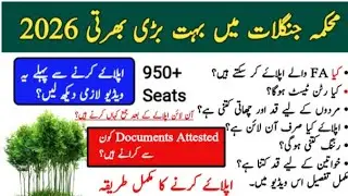 Forest Rangers or Inspector Forest New Jobs 2026 Full Detail Online Apply | Forest Rangers New Jobs 