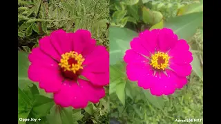 [Camera Test] Oppo Joy Plus VS Advan S5E NXT (Coba2 Tes Kamera 5MP dengan 3MP