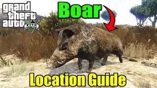 Where & How to Find Boars in GTA 5