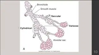 Respiratory Disorders l