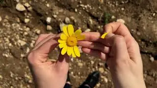 Calm Piano Music / mind relaxing music in night time