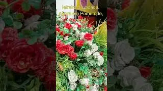 Descobrindo Pomerode e Blumenau: Dicas de Viagem e Roteiro Imperd&iacute;vel