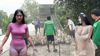 Over 20,000 ducks roam freely on the trucks, their movements forming an S-shaped pattern.
