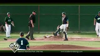 DIAMOND DAWGS 2018 revised 2