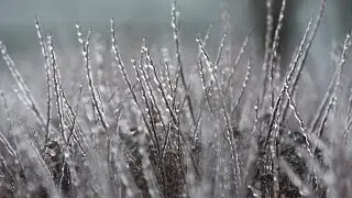Fractions of winter