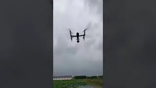 Dji Inspire #drone #dji #shorts #viralvideo