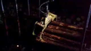 20091209018.mp4