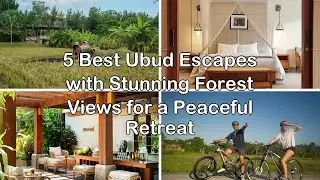 5 Best Ubud Escapes with Stunning Forest Views for a Peaceful Retreat