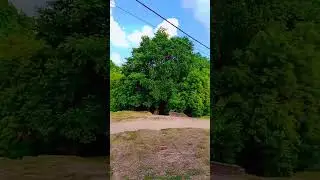 my short vlog #chillgamer #Arayanvlog #trending #technogamerz  #upgamerpoint