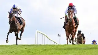BANBRIDGE gets up on the line in a fantastic finish to Punchestown's William Hill Champion Chase