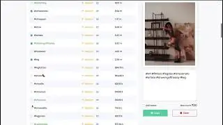 How to Get Organic Growth on Instagram 2020? Use Hashtag Generator Like a Pro!