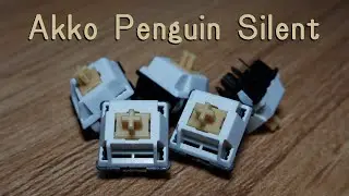 Обзор Akko Penguin Silent | Молчаливая святая панда?