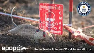 HeroRAT Ronin Breaks Guinness World Records&reg; title