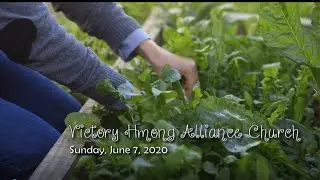 VHAC Madison, WI Sunday Service June 7, 2020