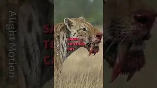 The Largest Polar Bear vs Extinct Big Cats
