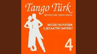 Seven Bilir