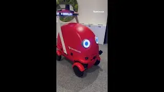 This is DoorDash's first automated delivery robot, Dot