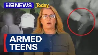 Police hunting for armed group of teens who terrorised residents in Toowoomba | 9 News Australia