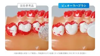 花王 ピュオーラ ハブラシ　「歯垢除去実験」篇 動画広告
