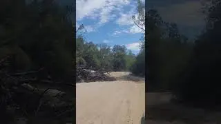 Alapaha river bed