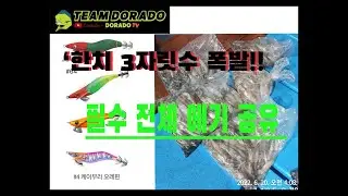제주 한치 낚시. 한치 피딩. 필수 에기. 전동릴 자동 샤크리. 한치 띄우기. 한치 에기. Feat. 거제 한치 낚시, 여수 한치 낚시 세자릿수 공략. 한치 전략