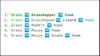 Food Web & Energy Flow