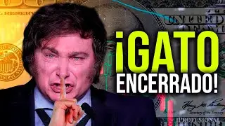 🔴 Lo que NO te DICEN de la 