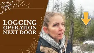 Logging Operation Woes | EP 49 | Ainsworth Hot Springs, Prepping for Off-Grid Wood Mill Location
