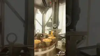 Vacuum packaging machine  with multihead weighter with screw