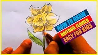 How to draw a daffodil flower easy stept by step for kids