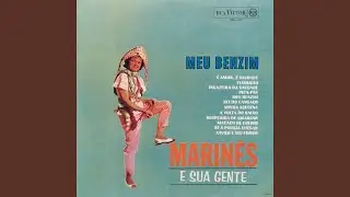 Meu Benzim