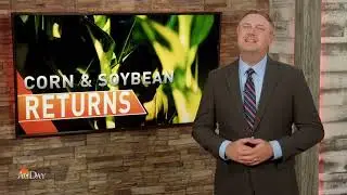 Pessimism Grows About Corn and Soybean Returns in 2024 and 2025
