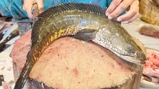 Amazing Snake Head Sola Fish Cutting Live In Fire Fish Cutting Bangladesh