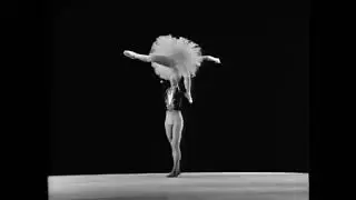 Nureyev and Fonteyn White Swan Pas de Deux Ballet Magic