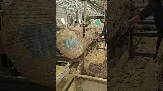 Modern Wood Processing Technology : New Trend #woodcut #firewood #wood #woodstyle #wooding #woodwook