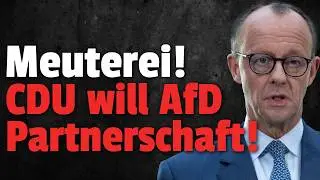 💥Revolution in der CDU: AfD Zusammenarbeit greifbar NAH!