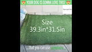 Outdoor Fake Grass for Dogs - Potty Training Area and Lawn Decoration  - Grass Rug Turf