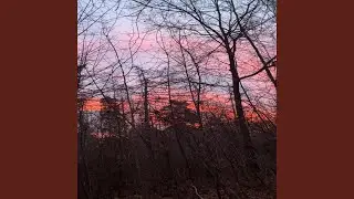 Natures Path