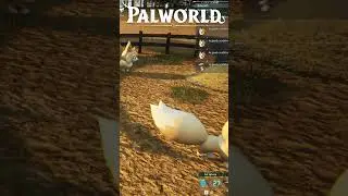 unlimited palspheres and arrows | #palworld