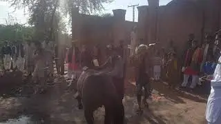 Baghanwala marrige thes sarfraz
