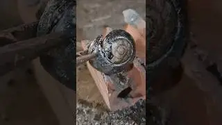 Aluminum snail shell casting art.#Shorts #viralvideos #reels #hangseanghong