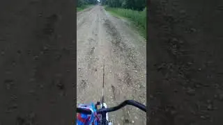 3 июля 2024 г.