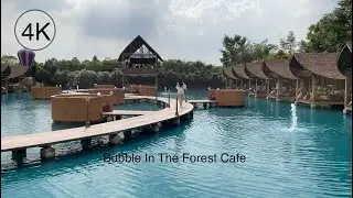 4K HDR // Bubble In The Forest Cafe | New Floating Cafe In Thailand | Bangkok