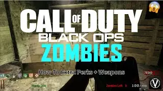 How To Get Extra Perks + Weapons in BO1 Plutonium 2026