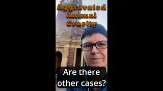 Aggravated Animal Cruelty - Part 7 - Discovering other cases - Maitland Local Court