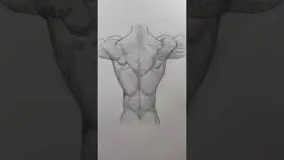 Draw back muscles 💪 Easy drawing lesson for how to draw back muscles. #drawinglesson #drawing