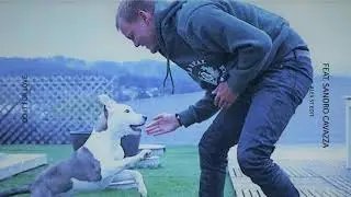Avicii - Do it for love ◢ ◤ ​Alex ST Remake (Studio)