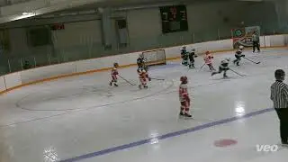 U10AA North Bay Trappers vs U10AA Soo Greyhounds