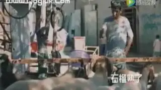 Funny sheep register