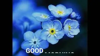 Good morning happy Thursday